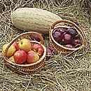 Инна Рытова и ансамбль казачьей песни 